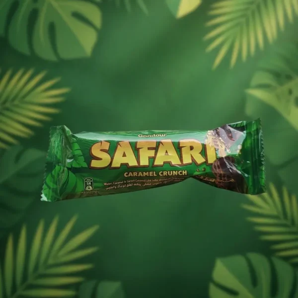 Gandour Safari Chocolate Bar [ Pack of 2 ]